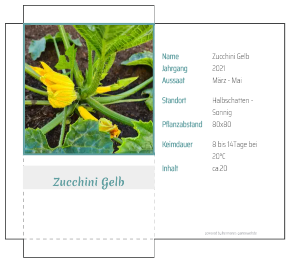 Tüte: Zucchini Gelb